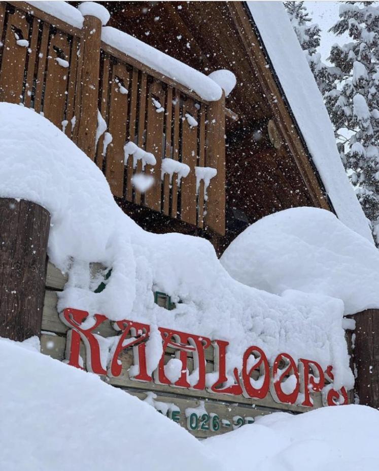 Shinano  Log Hotel Kamloops المظهر الخارجي الصورة
