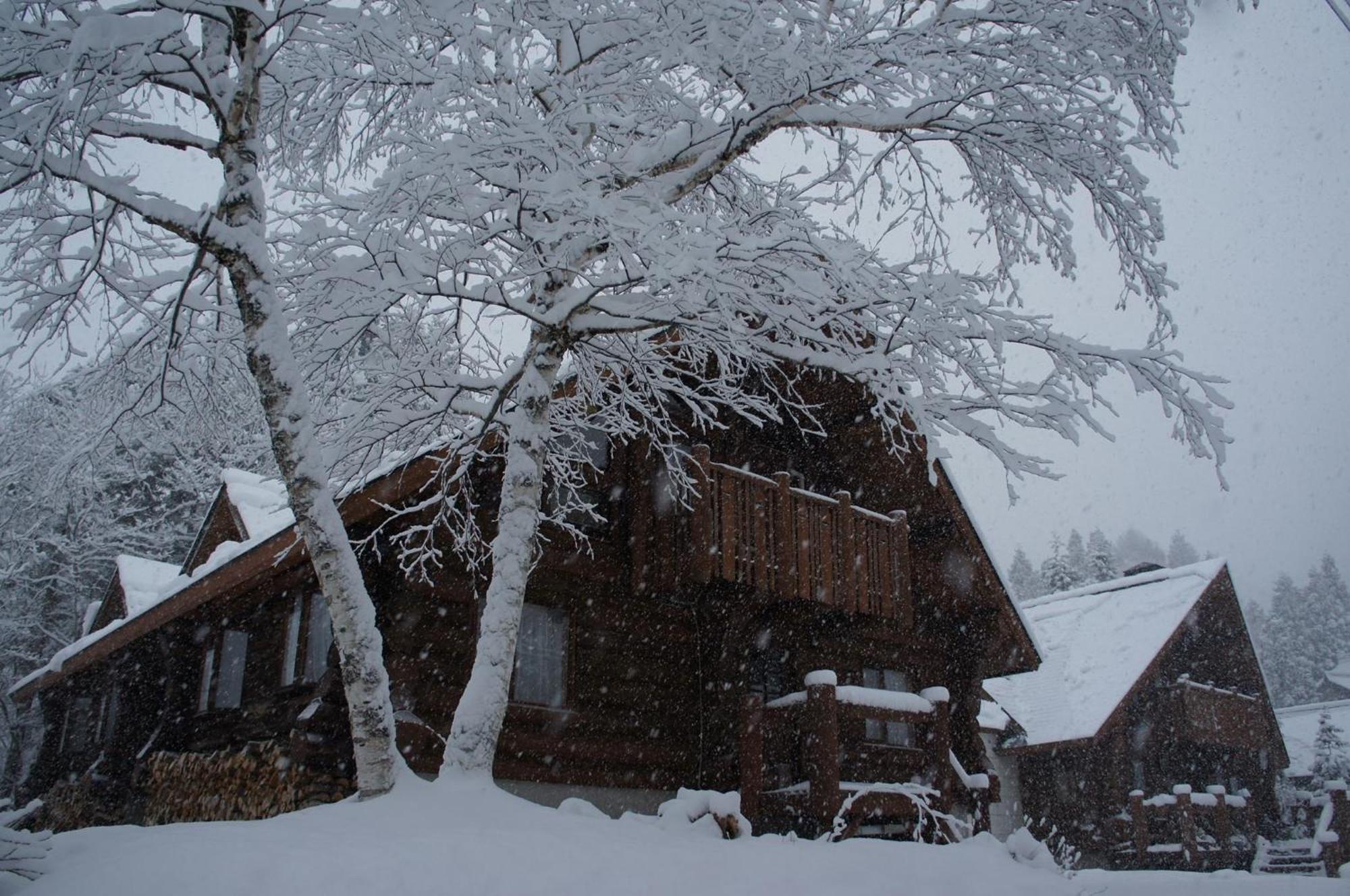 Shinano  Log Hotel Kamloops المظهر الخارجي الصورة